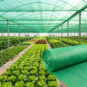 Green Plastic Agricultural Shade Net (1)
