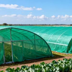 Green Shade Net (4)