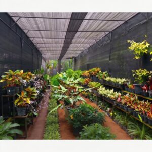 Heavy-Duty UV-Resistant Shade Cloth (3)