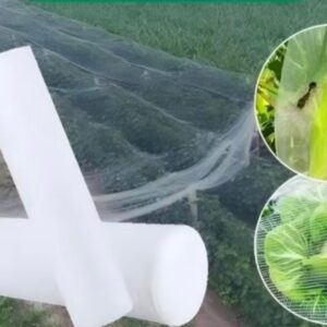Insect Net (2)