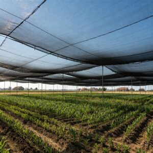 Plant Shade Net (5)
