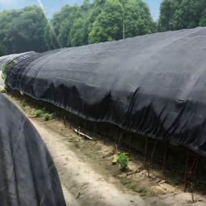 Poultry Farm Shade Net (3)