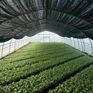 UV-Resistant Woven Shade Net (3)