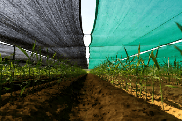 shade-net