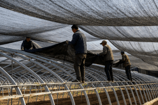 shade-net