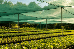 shade-net