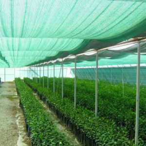 shade net for vegetable garden (1)